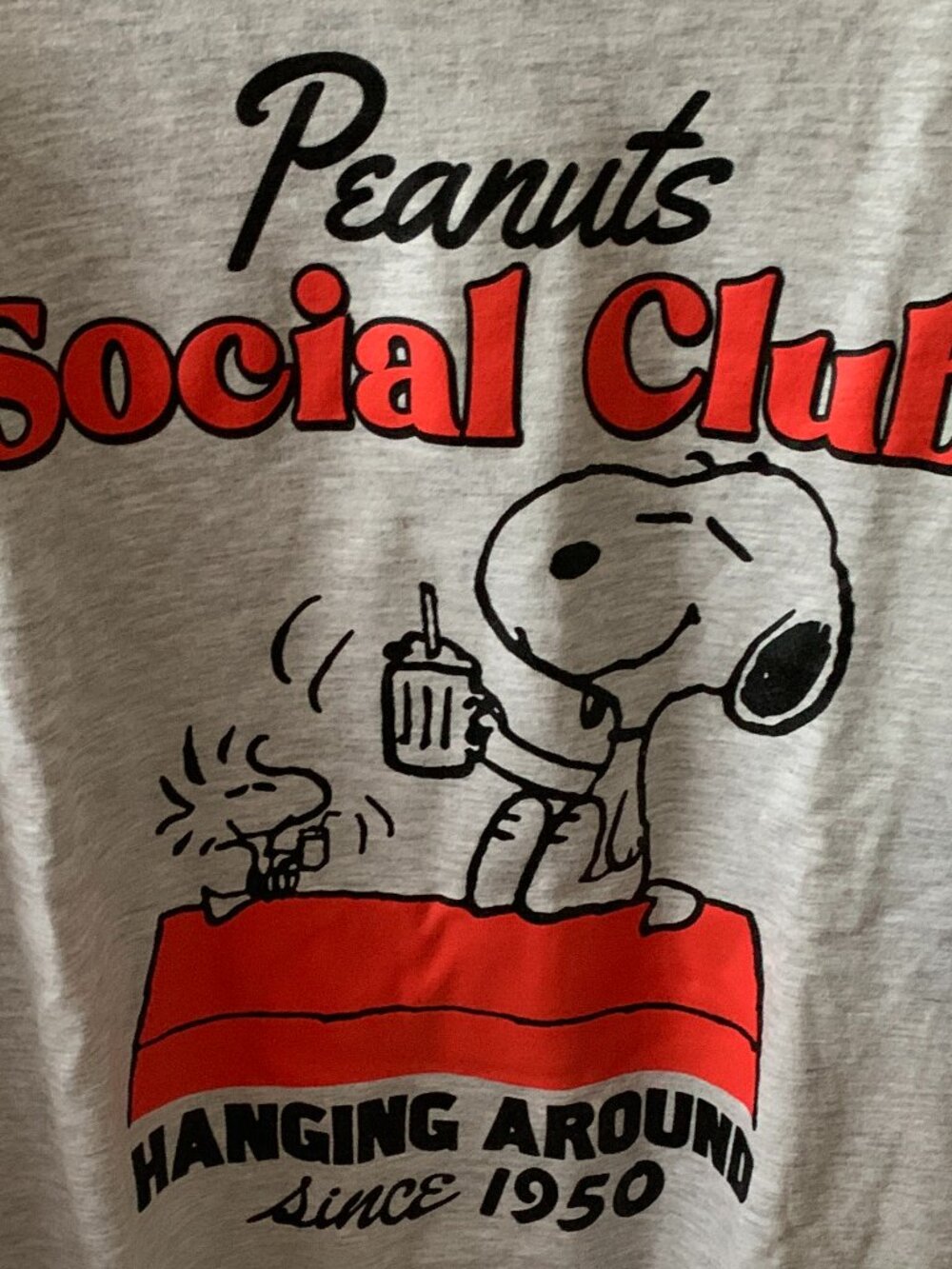 PEANUTS Snoopy & Woodstock Social Club Crew Neck Sweater Sz LARGE - Picture 2 of 4